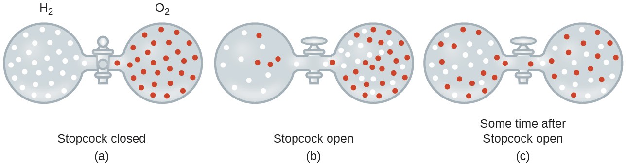 In this figure, three pairs of gas filled spheres or vessels are shown connected with a stopcock between them. In a, the figure is labeled, “Stopcock closed.” Above, the left sphere is labeled, “H subscript 2.” It contains approximately 30 small, white, evenly distributed circles. The sphere to its right is labeled, “O subscript 2.” It contains approximately 30 small red evenly distributed circles. In b, the figure is labeled, “Stopcock open.” The stopcock valve handle is now parallel to the tube connecting the two spheres. On the left, approximately 9 small, white circles and 4 small, red circles are present, with the red spheres appearing slightly closer to the stopcock. On the right side, approximately 25 small, red spheres and 21 small, white spheres are present, with the concentration of white spheres slightly greater near the stopcock. In c, the figure is labeled “Some time after Stopcock open.” In this situation, the red and white spheres appear evenly mixed and uniformly distributed throughout both spheres.
