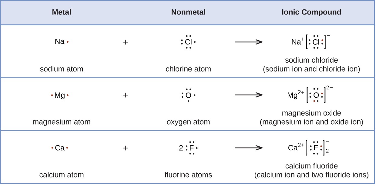 Cations are formed when atoms lose electrons, represented by fewer Lewis dots, whereas anions are formed by atoms gaining electrons. The total number of electrons does not change.