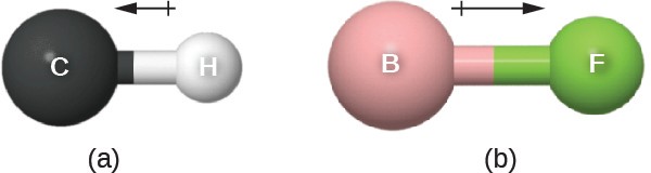 Two images are shown and labeled, “a” and “b.” Image a shows a large sphere labeled, “C,” a left-facing arrow with a crossed end, and a smaller sphere labeled “H.” Image b shows a large sphere labeled, “B,” a right-facing arrow with a crossed end, and a smaller sphere labeled “F.”