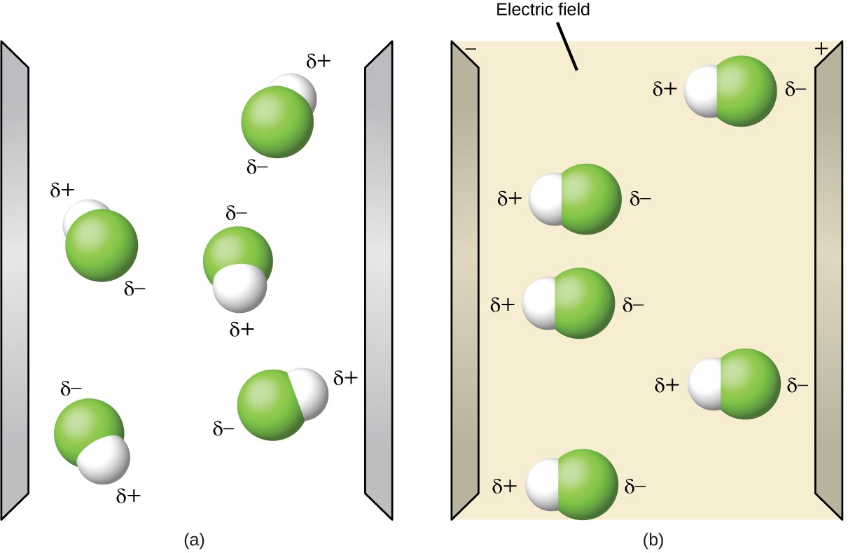 Two diagrams are shown and labeled “a” and “b.” Diagram a shows two vertical, gray electrodes. There are five molecules in between. The molecules are separate from one another and are composed of a hydrogen atom bonded to a fluorine atom. The fluorine atom is labeled with a dipole symbol and a superscripted negative sign while the hydrogen atom is labeled with a dipole symbol and a superscripted positive sign. The molecules are randomly oriented in the space. The right diagram also shows two vertical gray electrodes, the left labeled as negative and the right labeled as positive. The space between is yellow. The same molecules are present, but this time they are all facing horizontally, with the hydrogen-end of each molecule facing toward the negative electrode.