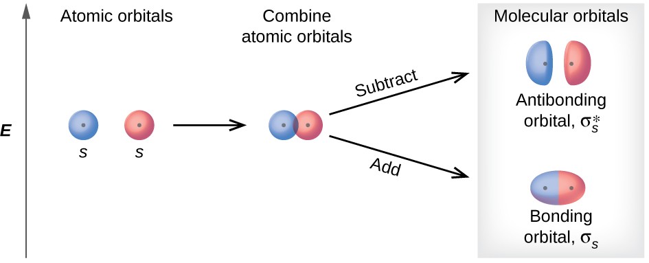 A diagram is shown that depicts a vertical upward-facing arrow that lies to the left of all the other portions of the diagram and is labeled, “E.” To the immediate right of the midpoint of the arrow are two circles each labeled with a positive sign, the letter S, and the phrase, “Atomic orbitals.” These are followed by a right-facing horizontal arrow that points to the same two circles labeled with plus signs, but they are now touching and are labeled, “Combine atomic orbitals.” Two right-facing arrows lead to the last portion of the diagram, one facing upward and one facing downward. The upper arrow is labeled, “Subtract,” and points to two oblong ovals labeled with plus signs, and the phrase, “Antibonding orbitals sigma subscript s superscript asterisk.” The lower arrow is labeled, “Add,” and points to an elongated oval with two plus signs that is labeled, “Bonding orbital sigma subscript s.” The heading over the last section of the diagram are the words, “Molecular orbitals.”