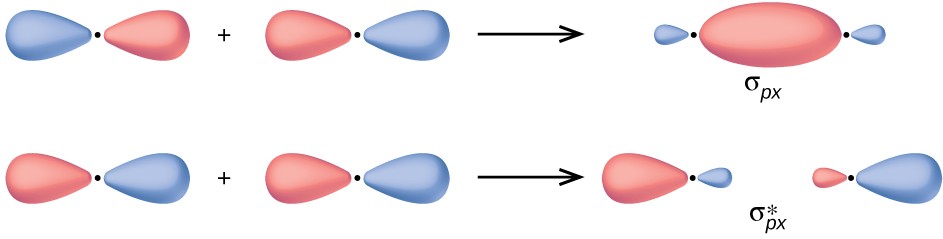 Two horizontal rows of diagrams are shown. The upper diagram shows two equally-sized peanut-shaped orbitals with a plus sign in between them connected to a merged orbital diagram by a right facing arrow. The merged diagram has a much larger oval at the center and much smaller ovular orbitals on the edge. It is labeled, “sigma subscript p x.” The lower diagram shows two equally-sized peanut-shaped orbitals with a plus sign in between them connected to a split orbital diagram by a right facing arrow. The split diagram has a much larger oval at the outer ends and much smaller ovular orbitals on the inner edges. It is labeled, “sigma subscript p x superscript asterisk”.