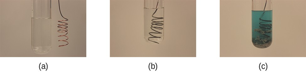 This figure contains three photographs. In a, a coiled copper wire is shown beside a test tube filled with a clear, colorless liquid. In b, the wire has been inserted into the test tube with the clear, colorless liquid. In c, the test tube contains a light blue liquid and the coiled wire appears to have a fuzzy silver gray coating.