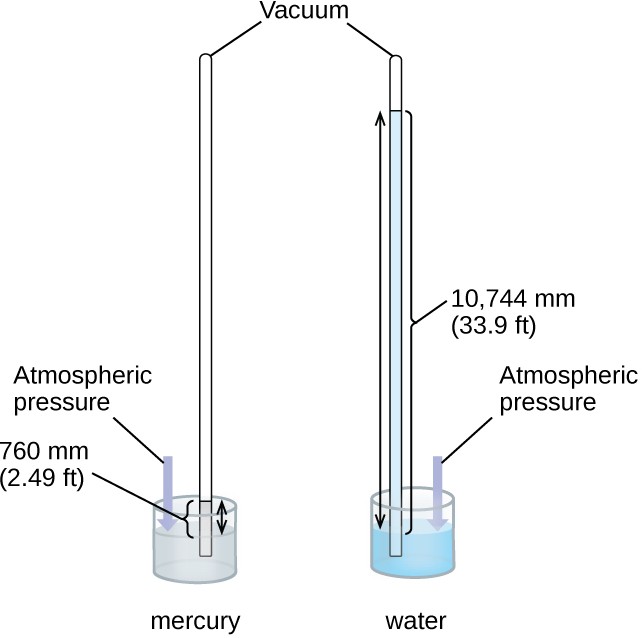 This figure shows two barometers. The barometer to the left contains a shallow reservoir, or open container, of mercury. A narrow tube extends upward from the reservoir above the reservoir. This tube is sealed at the top. To the right, a second similar setup is shown with a reservoir filled with water. Line segments connect the label “vacuum” to the tops of the two narrow tubes. The tube on the left shows the mercury in the reservoir extending in a column upward in the narrow tube. Similarly, the tube on the right shows the water in the reservoir extending upward into the related narrow tube. Double-headed arrows extend from the surface of each liquid in the reservoir to the top of the liquid in each tube. A narrow column or bar extends from the surface of the reservoir to the same height. This bar is labeled “atmospheric pressure.” The level of the water in its tube is significantly higher than the level of mercury in its tube.