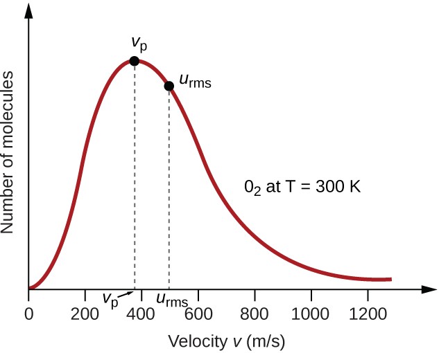 A graph is shown. The horizontal axis is labeled, “Speed u ( m divided by s ).” This axis is marked by increments of 20 beginning at 0 and extending up to 120. The vertical axis is labeled, “Fraction of molecules.” A positively or right-skewed curve is shown in red which begins at the origin and approaches the horizontal axis around 120 m per s. At the peak of the curve, a point is indicated with a black dot and is labeled, “v subscript p.” A vertical dashed line extends from this point to the horizontal axis at which point the intersection is labeled, “v subscript p.” Slightly to the right of the peak a second black dot is placed on the curve. This point is labeled, “v subscript r m s.” A vertical dashed line extends from this point to the horizontal axis at which point the intersection is labeled, “v subscript r m s.” The label, “O subscript 2 at T equals 300 K” appears in the open space to the right of the curve.