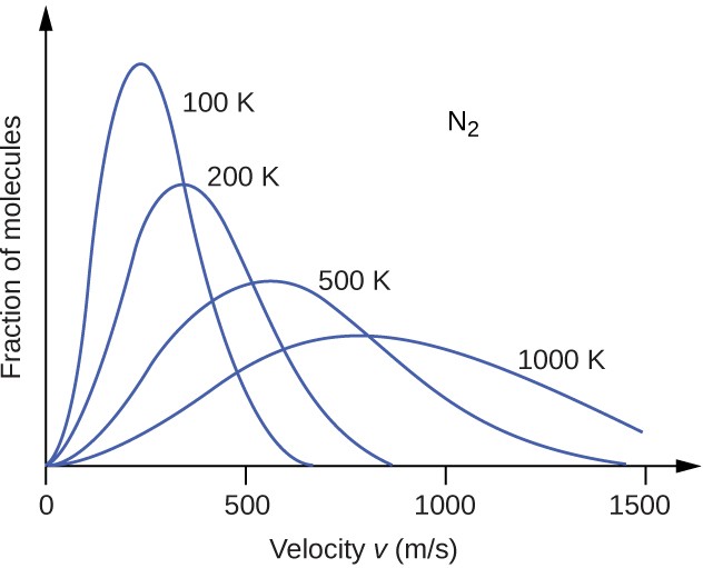 A graph with four positively or right-skewed curves of varying heights is shown. The horizontal axis is labeled, “Speed u ( m divided by s ).” This axis is marked by increments of 500 beginning at 0 and extending up to 1500. The vertical axis is labeled, “Fraction of molecules.” The label, “N subscript 2,” appears in the open space in the upper right area of the graph. The tallest and narrowest of these curves is labeled, “100 K.” Its right end appears to touch the horizontal axis around 700 m per s. It is followed by a slightly wider curve which is labeled, “200 K,” that is about three quarters of the height of the initial curve. Its right end appears to touch the horizontal axis around 850 m per s. The third curve is significantly wider and only about half the height of the initial curve. It is labeled, “500 K.” Its right end appears to touch the horizontal axis around 1450 m per s. The final curve is only about one third the height of the initial curve. It is much wider than the others, so much so that its right end has not yet reached the horizontal axis. This curve is labeled, “1000 K.”