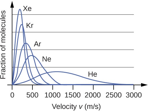 A graph is shown with four positively or right-skewed curves of varying heights. The horizontal axis is labeled, “Speed u ( m divided by s ).” This axis is marked by increments of 500 beginning at 0 and extending up to 3000. The vertical axis is labeled, “Fraction of molecules.” The tallest and narrowest of these curves is labeled, “X e.” Its right end appears to touch the horizontal axis around 600 m per s. It is followed by a slightly wider curve which is labeled, “A r,” that is about half the height of the initial curve. Its right end appears to touch the horizontal axis around 900 m per s. The third curve is significantly wider and just over a third of the height of the initial curve. It is labeled, “N e.” Its right end appears to touch the horizontal axis around 1200 m per s. The final curve is only about one fourth the height of the initial curve. It is much wider than the others, so much so that its right reaches the horizontal axis around 2500 m per s. This curve is labeled, “H e.”