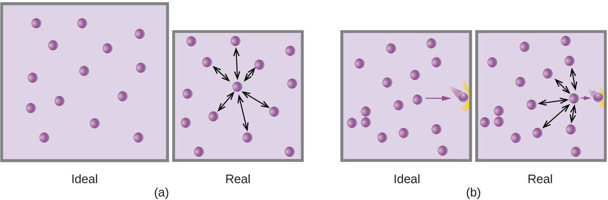 This figure includes two diagrams. Each involves two lavender shaded boxes that contain 14 relatively evenly distributed, purple spheres. The first box in a on the left is labeled “ideal.” In the second slightly smaller box, on the right, a nearly centrally located purple sphere has 6 double-headed arrows extending outward from it to nearby spheres. This box is labeled “real.” In b, in the first box on the left, a single arrow points to a purple sphere at the right side that appears to be moving and impacting the right side of the box. There are no other spheres positioned near the right edge. This box is labeled “ideal.” The second box, on the right, shows the same image but has 5 double-headed arrows radiating out to the top, bottom, and left to other spheres. This box is labeled “real.”