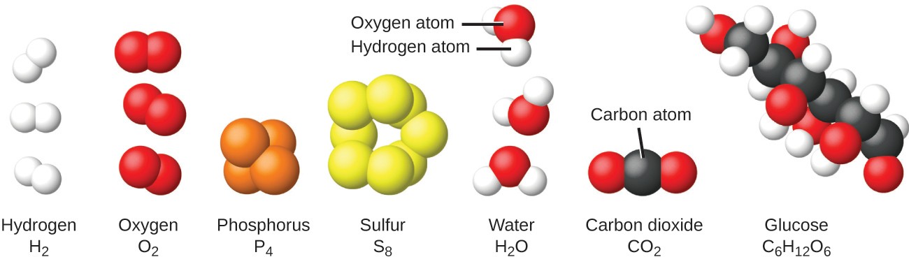 The hydrogen molecule, H subscript 2, is shown as two small, white balls bonded together. The oxygen molecule O subscript 2, is shown as two red balls bonded together. The phosphorous molecule, P subscript 4, is shown as four orange balls bonded tightly together. The sulfur molecule, S subscript 8, is shown as 8 yellow balls linked together. Water molecules, H subscript 2 O, consist of one red oxygen atom bonded to two smaller white hydrogen atoms. The hydrogen atoms are at an angle on the oxygen molecule. Carbon dioxide, C O subscript 2, consists of one carbon atom and two oxygen atoms. One oxygen atom is bonded to the carbon’s right side and the other oxygen is bonded to the carbon’s left side. Glucose, C subscript 6 H subscript 12 O subscript 6, contains a chain of carbon atoms that have attached oxygen or hydrogen atoms.