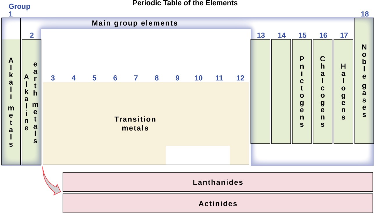 This diagram combines the groups and periods of the periodic table based on their similar properties. Group 1 contains the alkali metals, group 2 contains the earth alkaline metals, group 15 contains the pnictogens, group 16 contains the chalcogens, group 17 contains the halogens and group 18 contains the noble gases. The main group elements consist of groups 1, 2, and 12 through 18. Therefore, most of the transition metals, which are contained in groups 3 through 11, are not main group elements. The lanthanides and actinides are called out at the bottom of the periodic table.