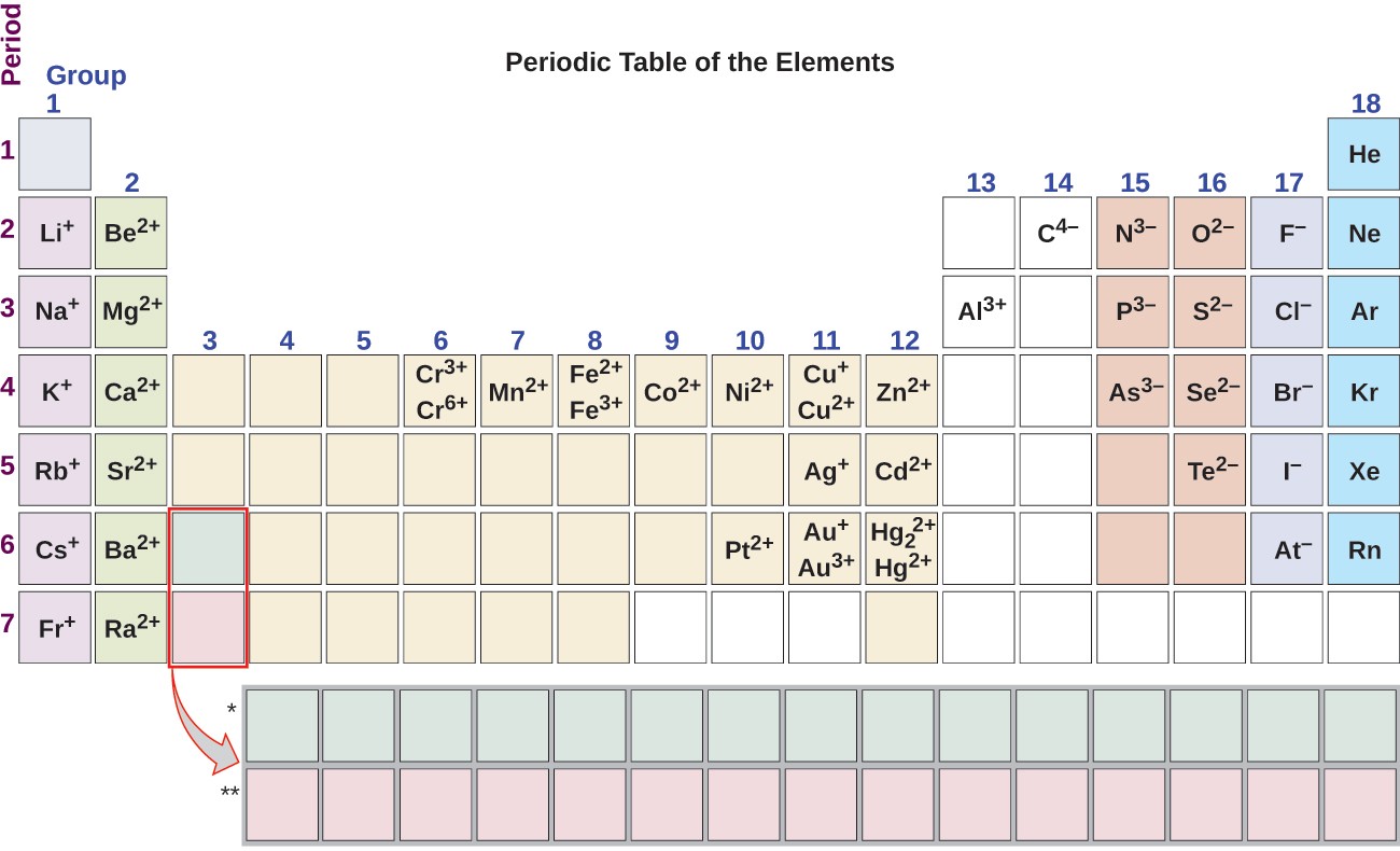 Group one of the periodic table contains L i superscript plus sign in period 2, N a superscript plus sign in period 3, K superscript plus sign in period 4, R b superscript plus sign in period 5, C s superscript plus sign in period 6, and F r superscript plus sign in period 7. Group two contains B e superscript 2 plus sign in period 2, M g superscript 2 plus sign in period 3, C a superscript 2 plus sign in period 4, S r superscript 2 plus sign in period 5, B a superscript 2 plus sign in period 6, and R a superscript 2 plus sign in period 7. Group six contains C r superscript 3 plus sign and C r superscript 6 plus sign in period 4. Group seven contains M n superscript 2 plus sign in period 4. Group eight contains F e superscript 2 plus sign and F e superscript 3 plus sign in period 4. Group nine contains C o superscript 2 plus sign in period 4. Group ten contains N i superscript 2 plus sign in period 4, and P t superscript 2 plus sign in period 6. Group 11 contains C U superscript plus sign and C U superscript 2 plus sign in period 4, A g superscript plus sign in period 5, and A u superscript plus sign and A u superscript 3 plus sign in period 6. Group 12 contains Z n superscript 2 plus sign in period 4, C d superscript 2 plus sign in period 5, and H g subscript 2 superscript 2 plus sign and H g superscript 2 plus sign in period 6. Group 13 contains A l superscript 3 plus sign in period 3. Group 14 contains C superscript 4 negative sign in period 2. Group 15 contains N superscript 3 negative sign in period 2, P superscript 3 negative sign in period 3, and A s superscript 3 negative sign in period 4. Group 16 contains O superscript 2 negative sign in period 2, S superscript 2 negative sign in period 3, S e superscript 2 negative sign in period 4 and T e superscript 2 negative sign in period 5. Group 17 contains F superscript negative sign in period 2, C l superscript negative sign in period 3, B r superscript negative sign in period 4, I superscript negative sign in period 5, and A t superscript negative sign in period 6. Group 18 contains H e in period 1, N e in period 2, A r in period 3, K r in period 4, X e in period 5 and R n in period 6.