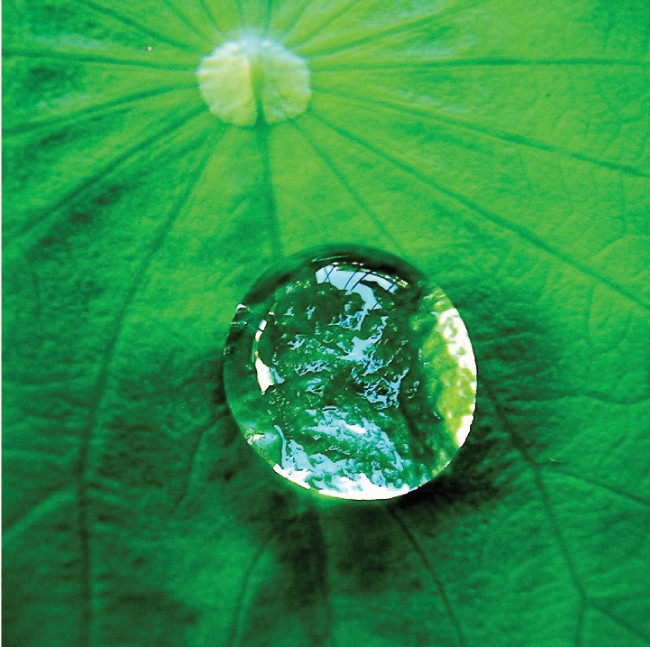 A close-up photo of a water droplet on a leaf is shown. The water droplet is not perfectly spherical.