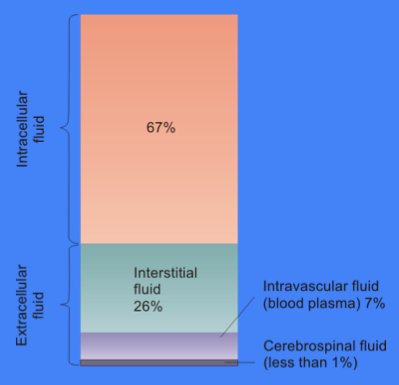 “Cellular_Fluid_Content.jpg” by Welcome1To1The1Jungle is licensed under CC BY 3.0 Image showing Intracellular and Extracellular Fluid Compartments, with labels