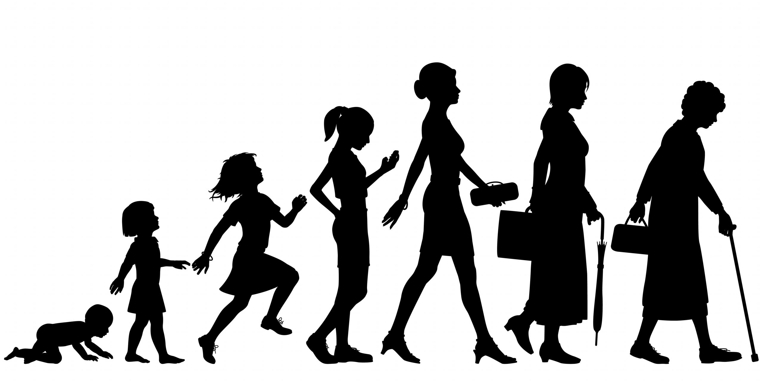 "shutterstock_149010437.jpg" by Robert Adrian Hillman is used under license from Shutterstock.com Image showing silhouettes of a female in seven stages of life