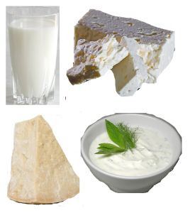 “Good_Dairy_Sources.png” by Brookepinsent is licensed under CC BY-SA 4.0 Image showing various dairy products