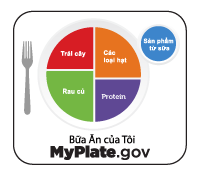 “MyPlate_Vietnamese.png” by USDA is licensed under CC0 Image showing the my plate guide in Vietnamese language