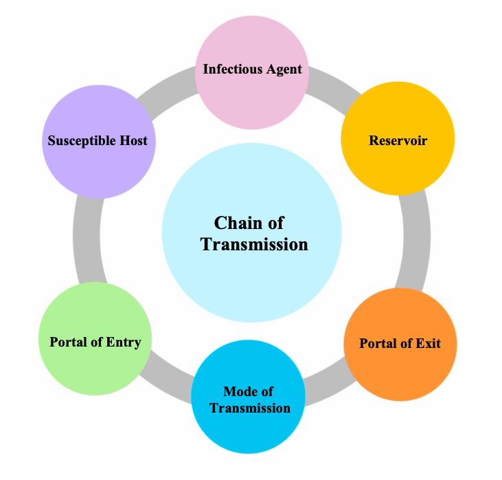 “Chain-of-Transmission” by unknown author is licensed under CC BY-NC 4,0. Access for free at https://ecampusontario.pressbooks.pub/introductiontoipcp/chapter/40/. Diagram showing Chain of Infection