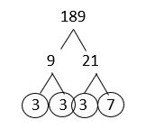 A factor tree for 189 using 9 and 21. 9 is broken into 3 and 3 and 21 is broken into 3 and 7. The 3s and 7 are circled.
