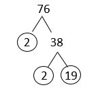 A factor tree of 76 using 2 and 38. 38 is broken into 2 and 19. There are two 2s and the 19 circled.