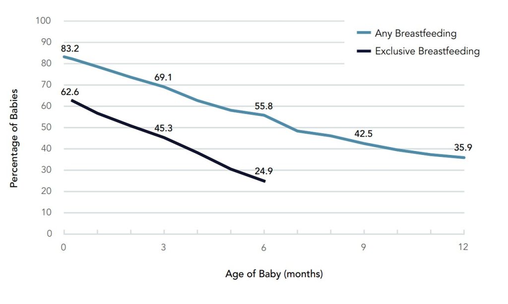 Chart showing the percentage of babies receiving any and exclusive breastfeeding in the first 12 months among U.S. babies born in 2019