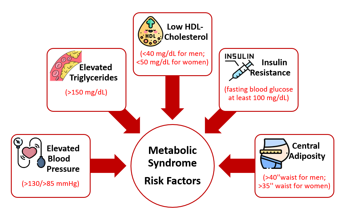 Diagram showing the risk factors for metabolic syndrome