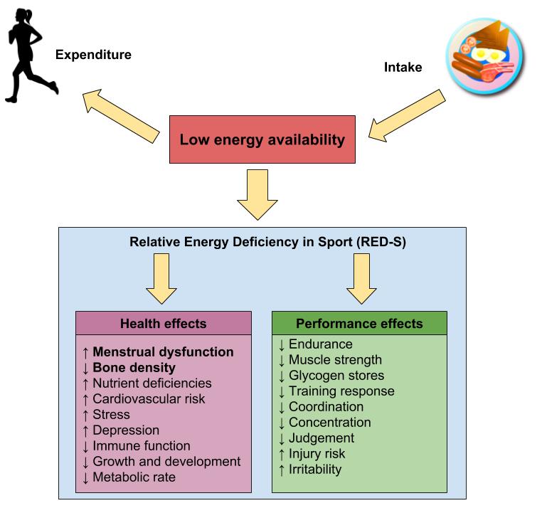 Diagram showing energy availability and health/performance effects