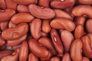 Dried kidney beans