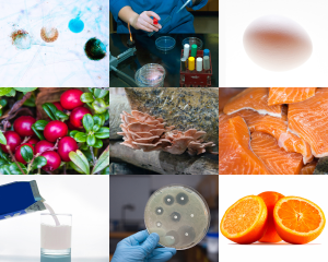 Image depicts a compilation of food safety concerns: antibiotics, salmon, milk, and mold