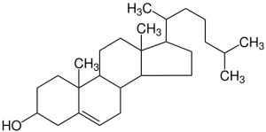 Diagram showing the molecular structure of cholesterol