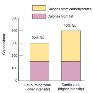 Graph showing the calories burned per hour from fat and carbohydrates in lower intensity and higher intensity exercise