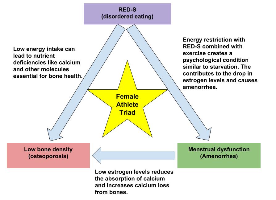 Diagram showing the relationships between disordered eating, menstrual dysfunction, and low bone density in the female athlete triad