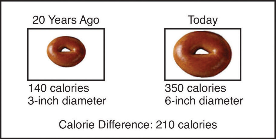 Diagram depicting serving size changes by comparing the sizes of two bagels