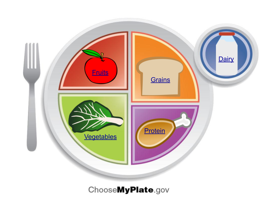 Diagram showing a healthy plate as determined by the USDA MyPlate.gov web site.