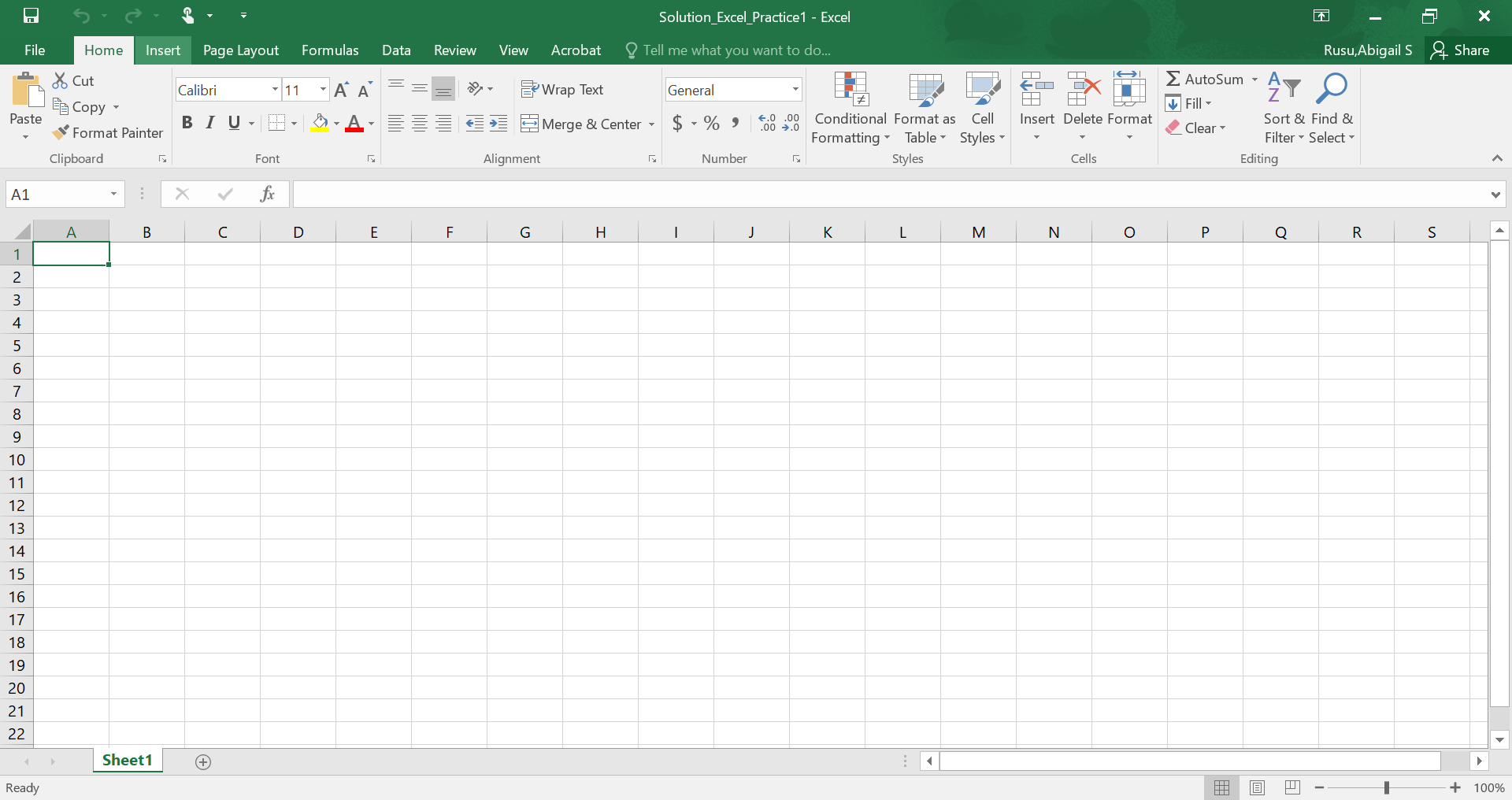 Blank Excel Page