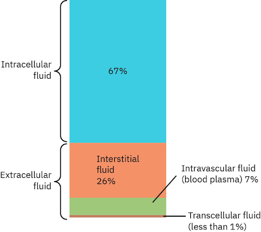 Composition of Cellular Fluids