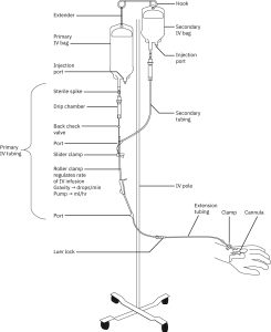 A labeled diagram of an IV setup with tubing, bags, chambers, clamps, stand, and site of injection..