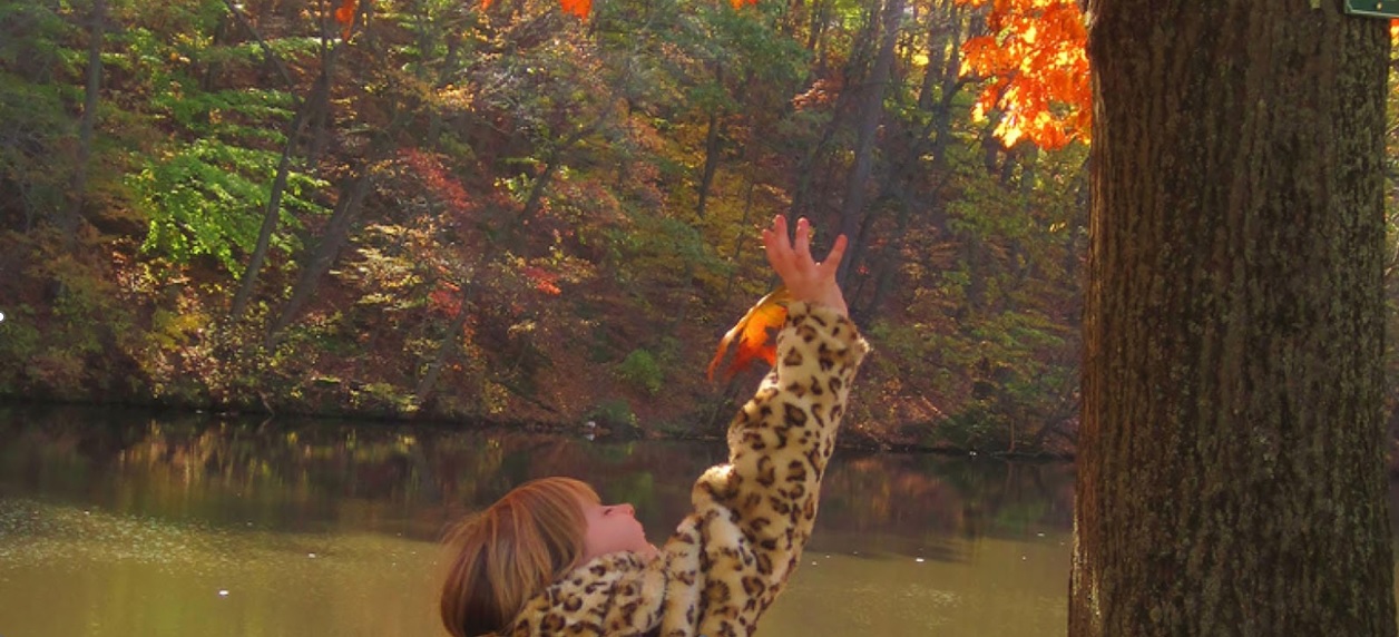 A photograph of a child reaching for an autumn leaf as it falls tot eh ground.