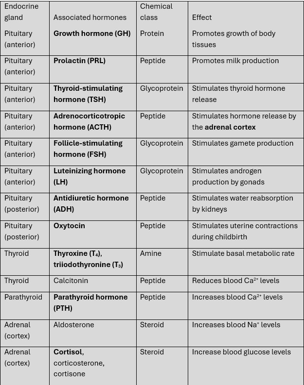 A table illustrating glands and what hormones are regulated by each gland.