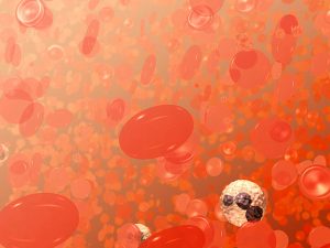 Red blood cells