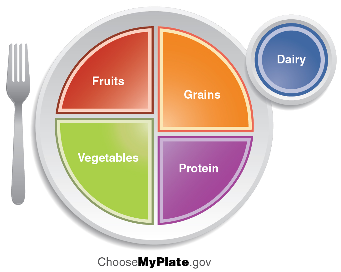 MyPlate pictograph used by the USDA to represent food guidelines necessary to maintain a healthy lifestyle.
