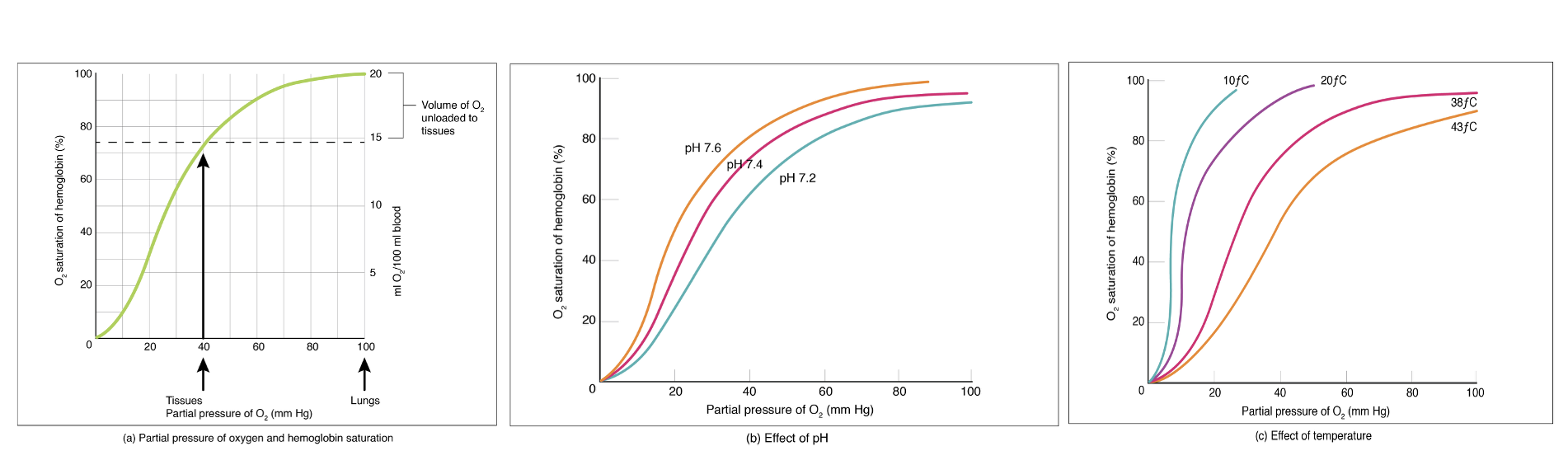The left panel of this figure shows a graph with oxygen saturation of the y-axis and partial pressure of oxygen on the x-axis. The middle panel shows oxygen saturation versus partial pressure of oxygen as a function of pH. The right panel shows the same relationship as a function of temperature.