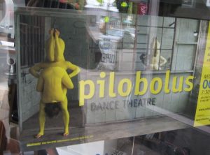A photo of the entrance to the Pilobolus dance theatre