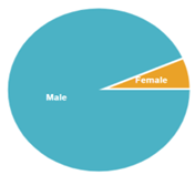 Pie chart showing a large teal section labeled "Male" and a small orange wedge labeled "Female."