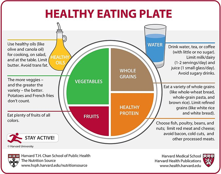 Illustration of a plate divided into four sections: Vegetables, Whole Grains, Healthy Protein, and Fruits. Includes side icons for Healthy Oils and Water, with brief tips for each. Encourages variety, limiting processed foods, and staying active.