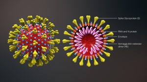 “3D_medical_animation_corona_virus.jpg” by https://www.scientificanimations.com is licensed under CC BY-SA 4.0 Image showing coronavirus, with labels