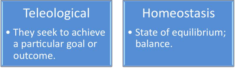 Two blocks. One block says teleological - they seek to achieve a particular goal or outcomes and other block says homeostasis - state of equilibrium; balance.