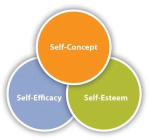 Three circles that are connected. They say Self-Concept, Self-Efficacy, and Self-Esteem.