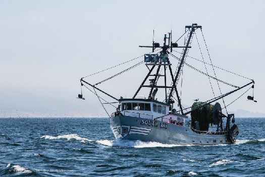 Commercial fishing boat with several nets and a tall mast. The boat is floating on the surface of a large body of water.