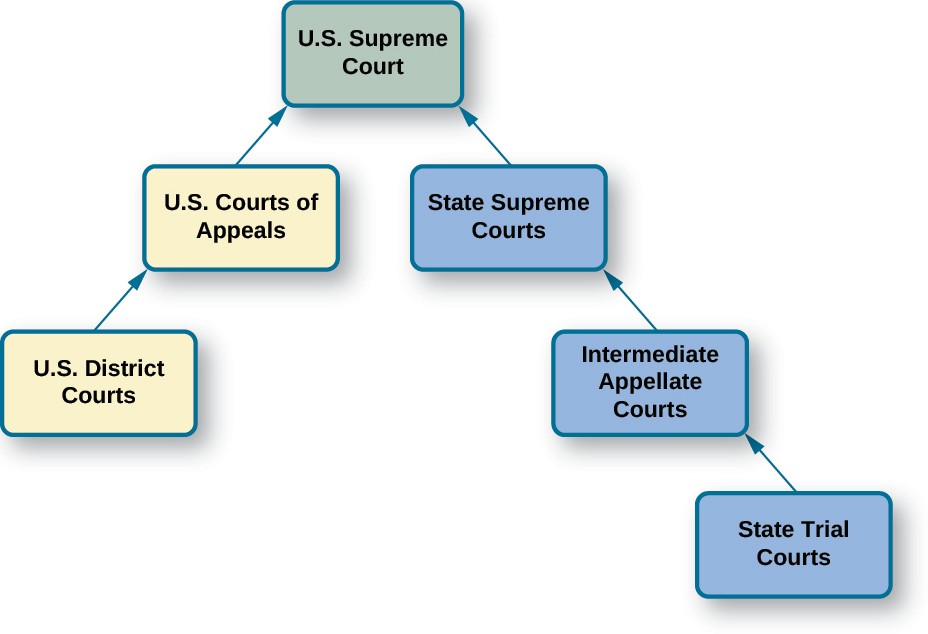 A chart that demonstrates the structure of the dual court system.