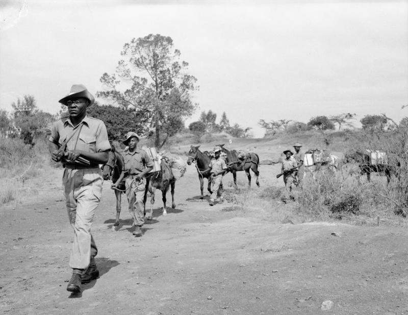 Troops of the King's African Rifles carry supplies on pack horses